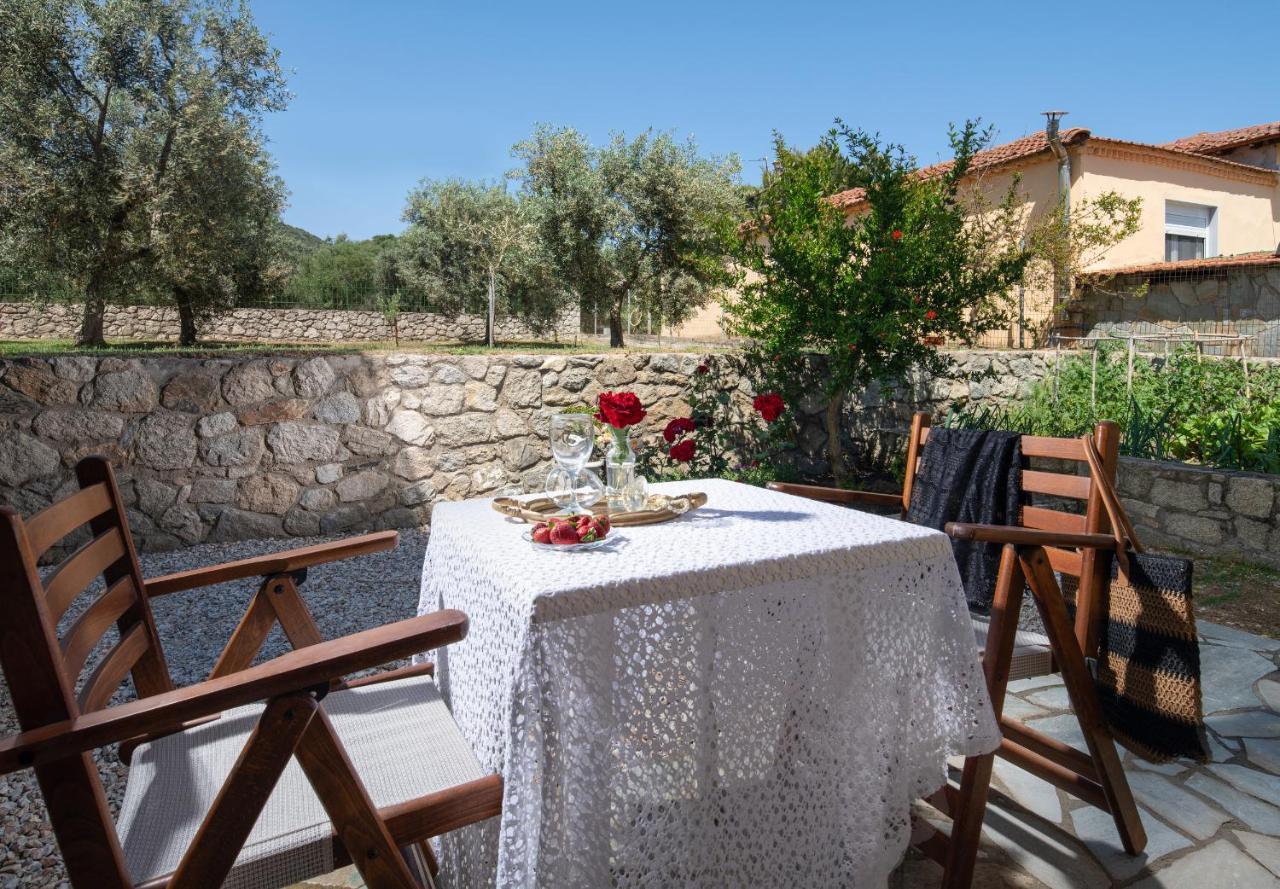 Villa Tsitreli Sykia Chalkidikis Exteriör bild