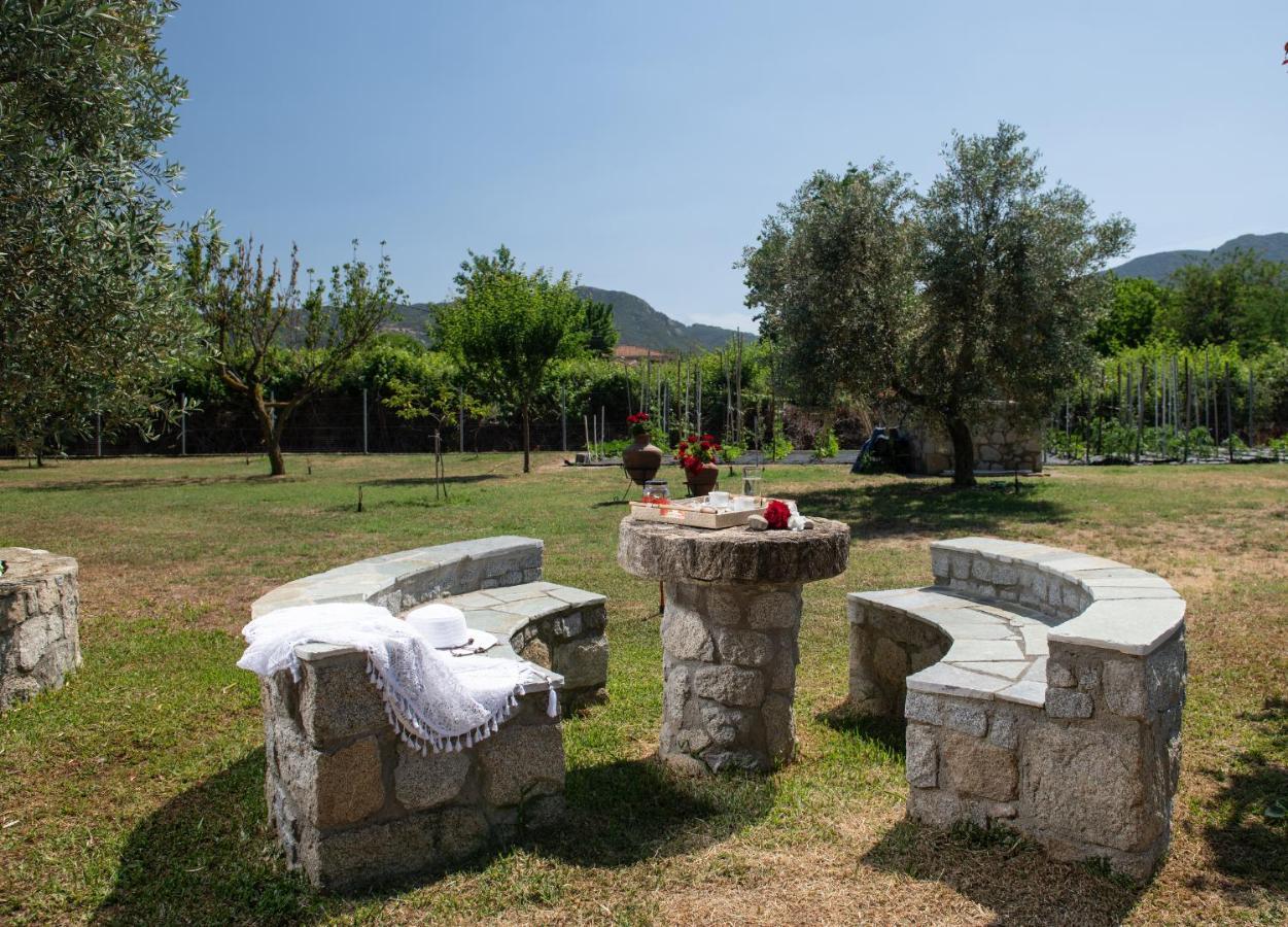 Villa Tsitreli Sykia Chalkidikis Exteriör bild