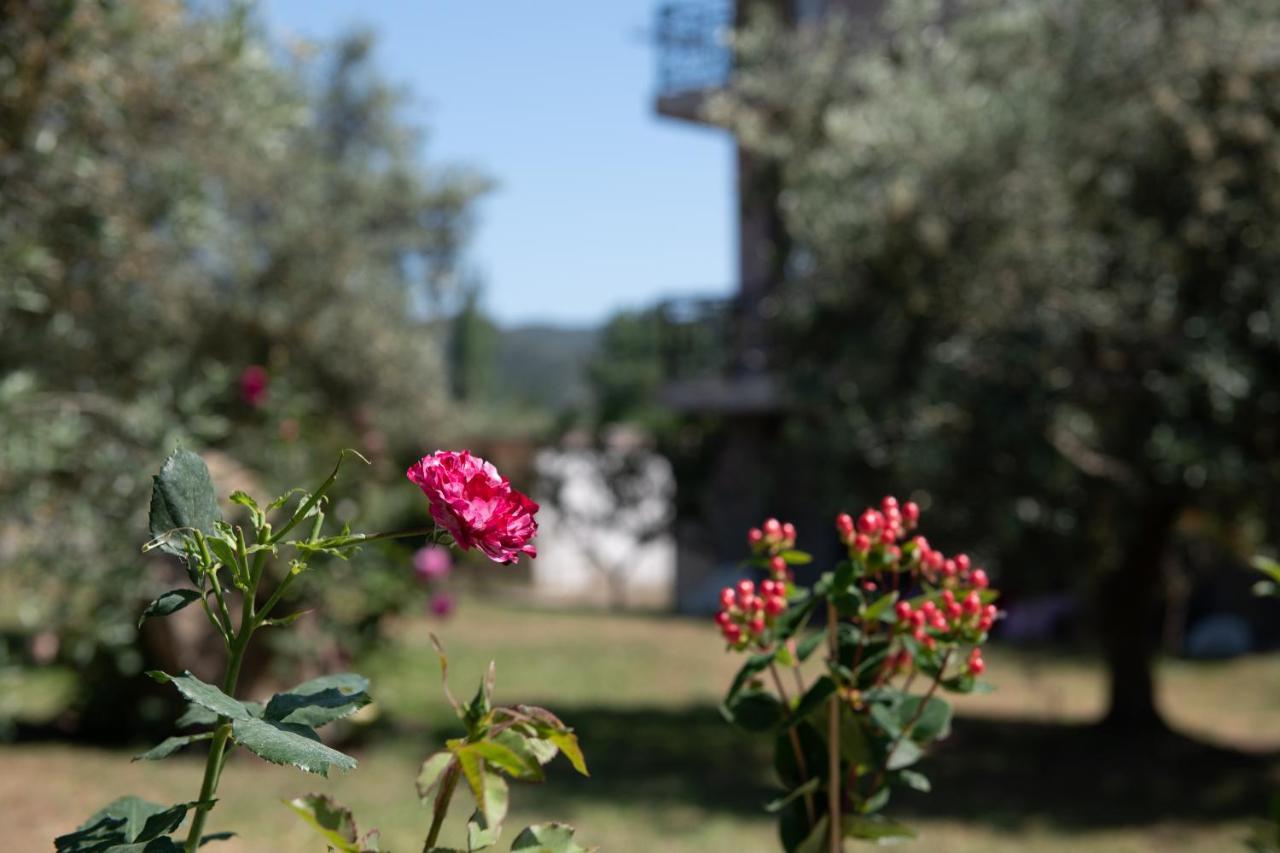 Villa Tsitreli Sykia Chalkidikis Exteriör bild