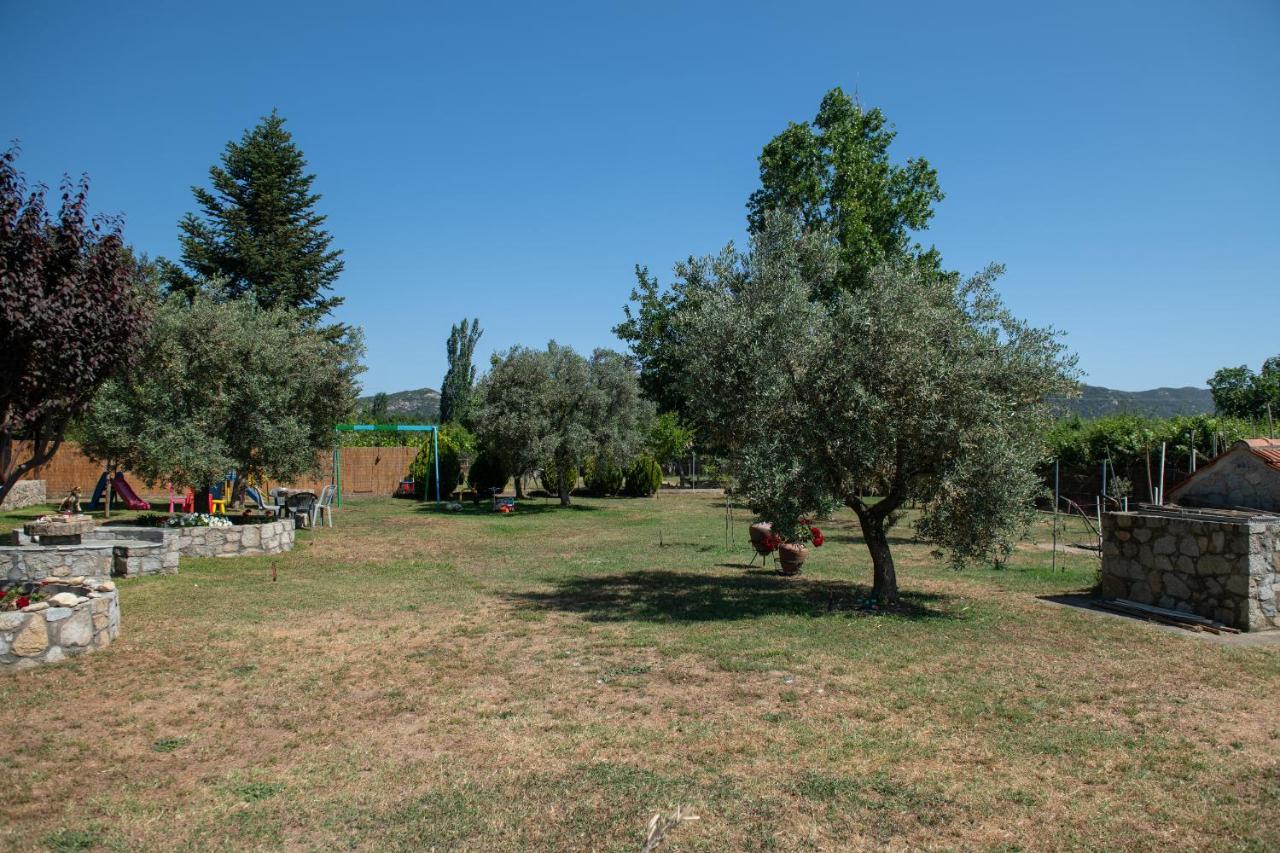 Villa Tsitreli Sykia Chalkidikis Exteriör bild